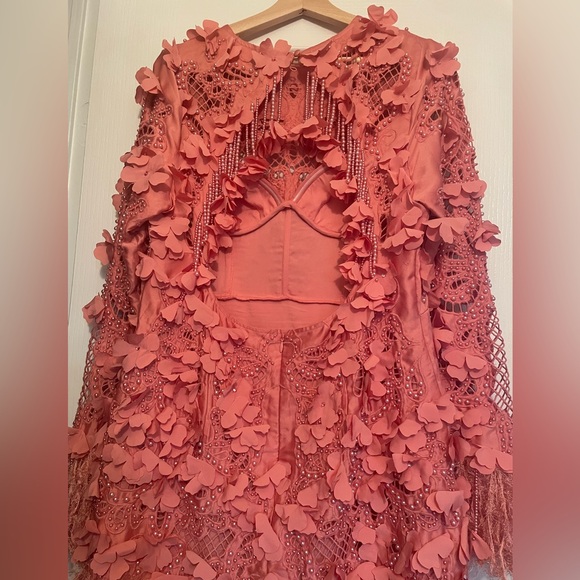 ASOS LUXE 3D floral embellished eyelet mini dress with faux feather trim - Picture 5 of 13